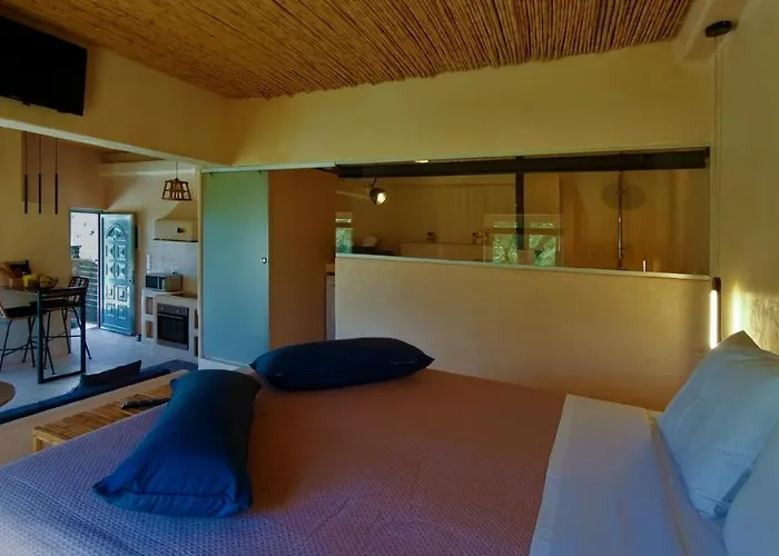 Gratelia Studio Damnoni